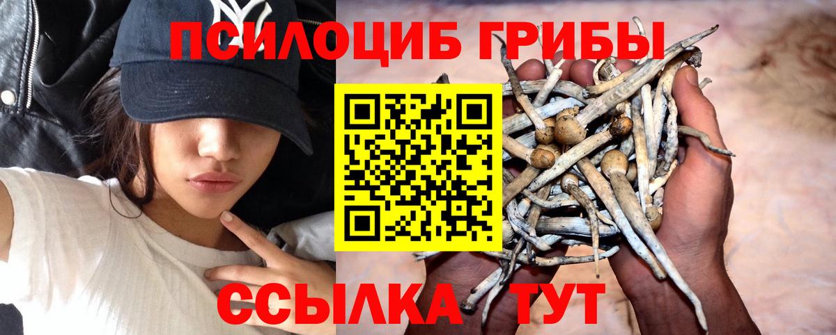 Псилоцибиновые грибы ЛСД Элиста